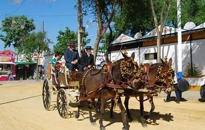 feria2014