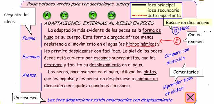 La imagen muestra un texto con distintos subrayados y anotaciones al margen.