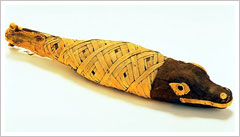 Momia de un cocodrilo. Museo Arqueolgico Nacional