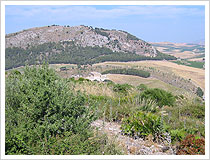 Paisaje mediterráneo. María J. Fuente (col. particular, 2004)