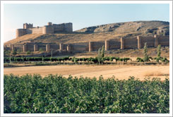 Recinto amurallado y castillo de Berlanga de Duero (Soria, siglos XIV-XV). María J. Fuente (col. particular, 2000)