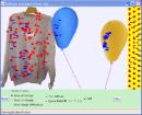 Screenshot of Balloons and Static Electricity Simulation