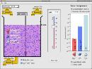 Screenshot of pH Scale Simulation