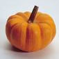 calabaza